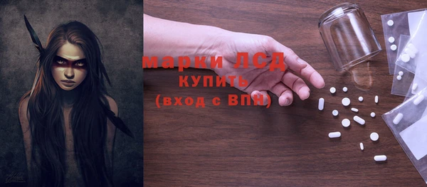 стафф Аркадак