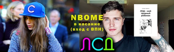 стафф Аркадак