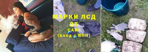 ПСИЛОЦИБИНОВЫЕ ГРИБЫ Алзамай
